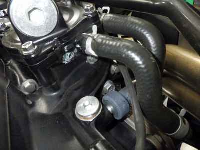 Suzuki V-Strom 800 2024