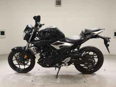 Yamaha MT-25 2016