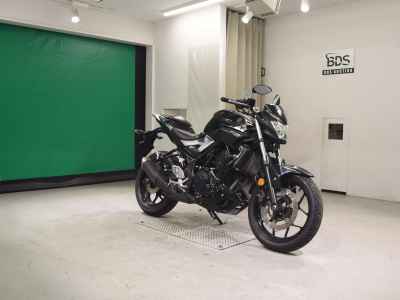 Yamaha MT-25 2016