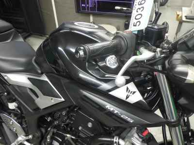 Yamaha MT-25 2016