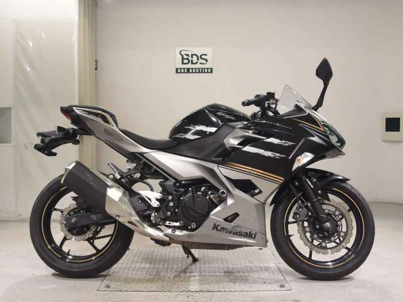 Kawasaki Ninja 250 2019