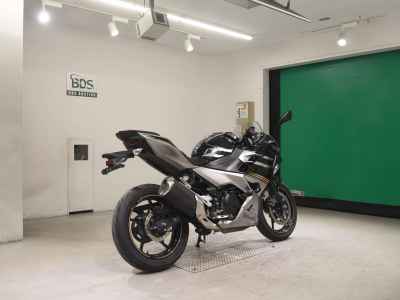 Kawasaki Ninja 250 2019