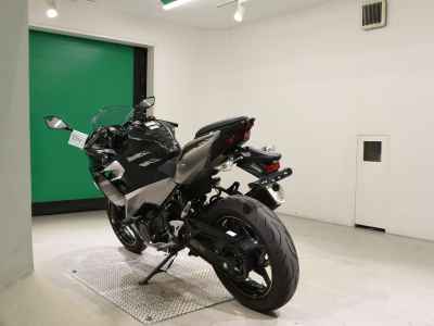 Kawasaki Ninja 250 2019