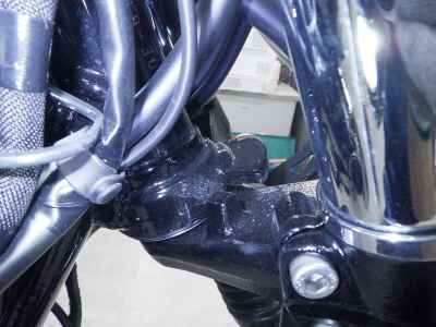 Kawasaki W800 2024