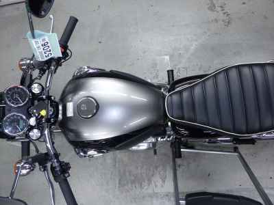 Kawasaki W800 2024
