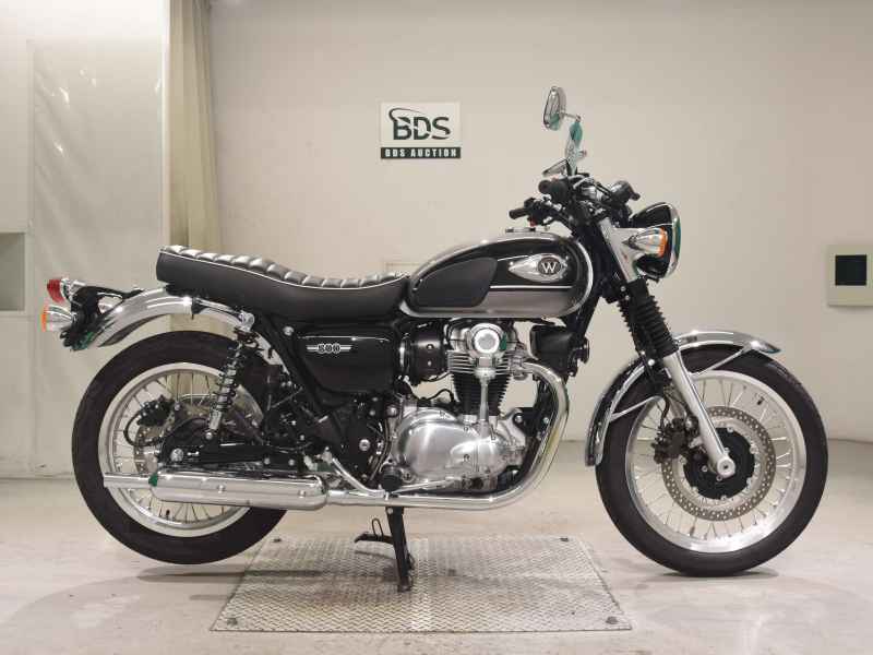 Kawasaki W800 2024