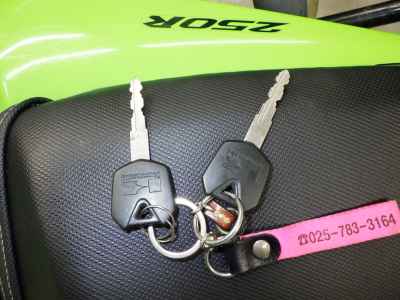 Kawasaki Ninja 250R 2008