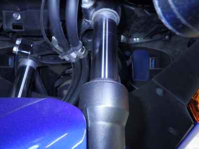 Honda Forza Z 2011
