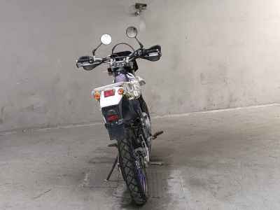 Suzuki DR250R