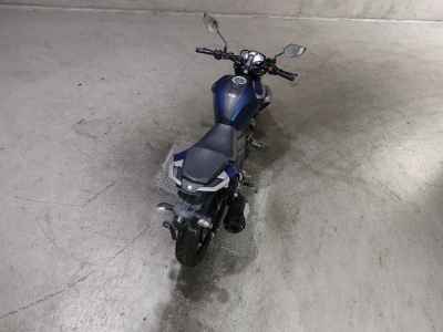 Yamaha FZ25 2019