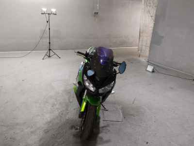 Kawasaki Ninja 1000 2011