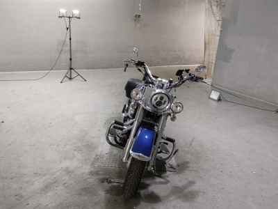 Harley-Davidson Deluxe FLSTN1580 2011