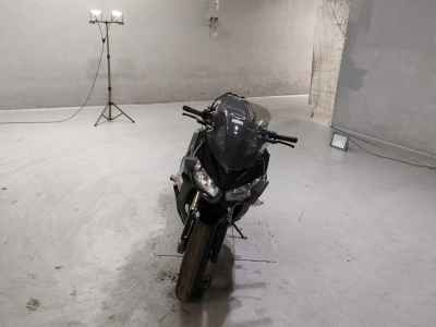 Kawasaki Ninja 1000 2011