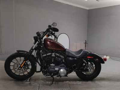 Harley-Davidson XL883N 2015