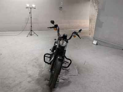Harley-Davidson XL883N 2015