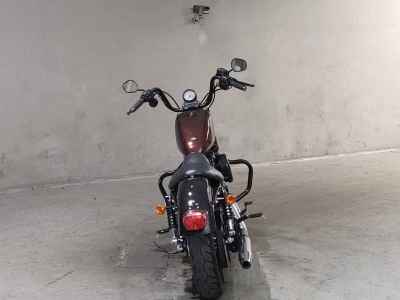 Harley-Davidson XL883N 2015