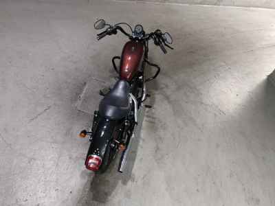 Harley-Davidson XL883N 2015