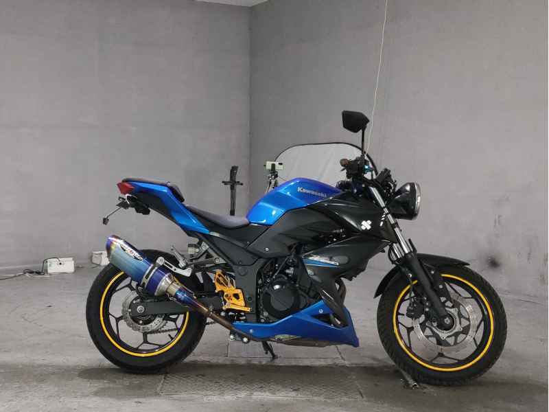 Kawasaki Z250 2015