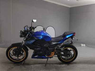 Kawasaki Z250 2015