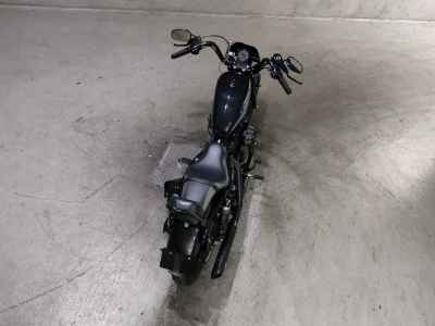 Harley-Davidson Iron XL1200NS 2020