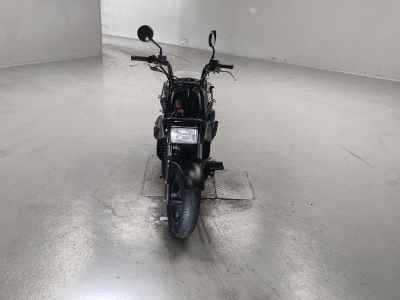 Honda PS250 Big Ruckus 2006