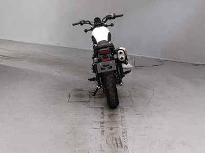 Honda CL250 2023