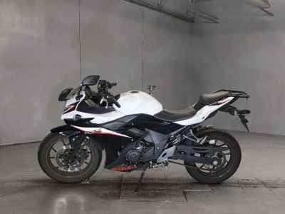 Suzuki GSX250R