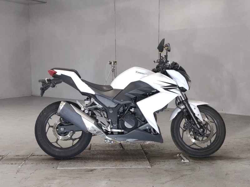 Kawasaki Z250 2013