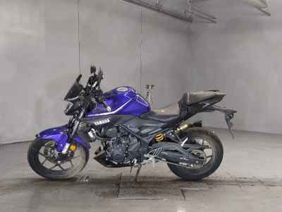 Yamaha MT-25 2017
