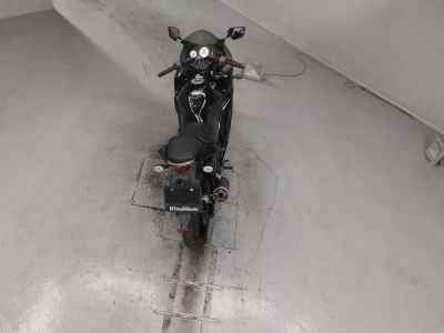 Kawasaki Ninja 250R 2010