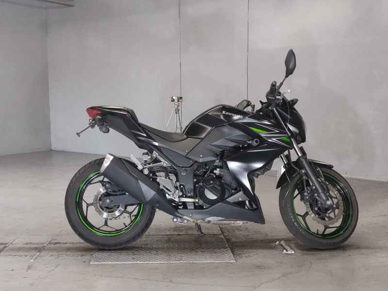 Kawasaki Z250 2013