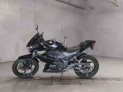 Kawasaki Z250 2013