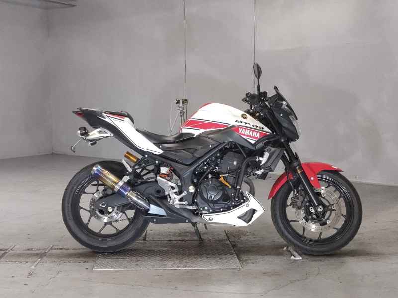 Yamaha MT-25 2017