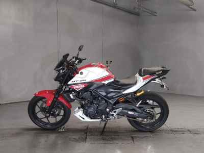 Yamaha MT-25 2017