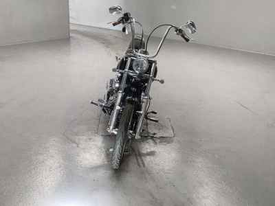 Harley-Davidson Softail FXSTC1580 2007