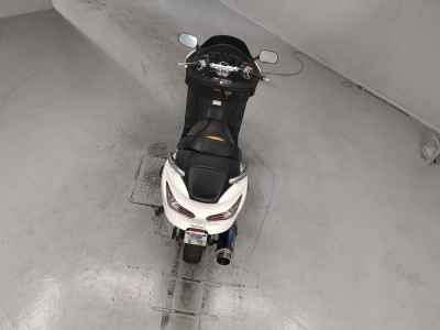 Honda Forza Z 2006
