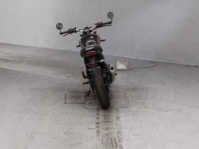 Triumph Speed 400 2024
