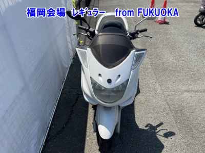 Yamaha Majesty 250C