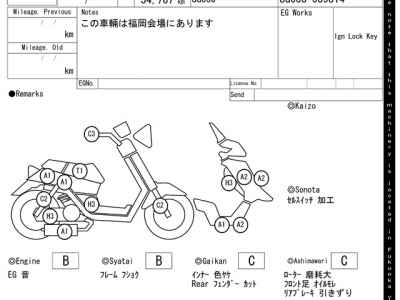 Yamaha Majesty 250C