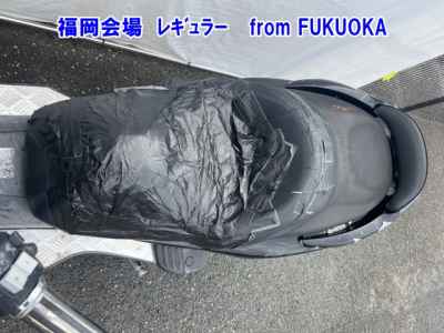 Honda Forza Z