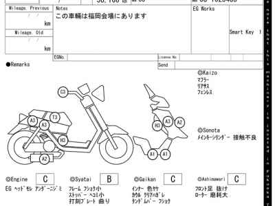 Honda Forza Z