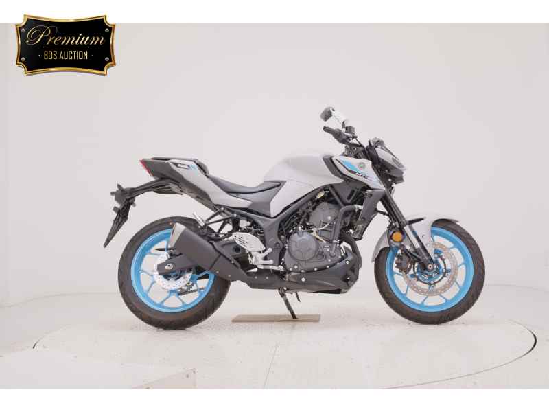 Yamaha MT-25 2025