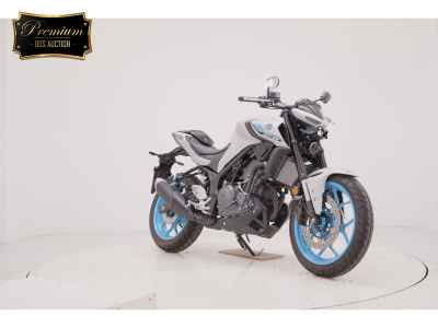 Yamaha MT-25 2025