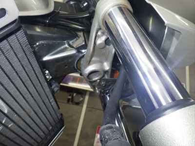 Honda Hornet 250