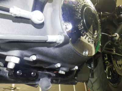 Harley-Davidson Sportster Forty-Eight XL1200X 2020