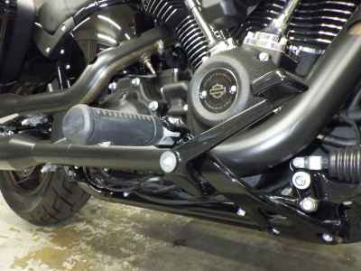 Harley-Davidson FXLRST1920 2025