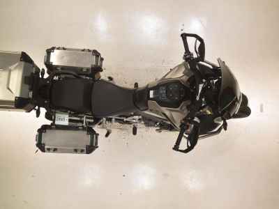 Triumph Tiger 1200 Rally 2024
