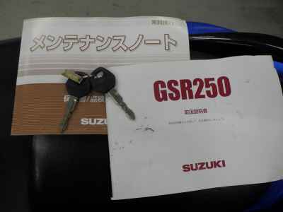 Suzuki GSR250