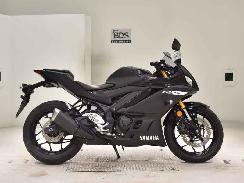 Yamaha YZF-R25 2019