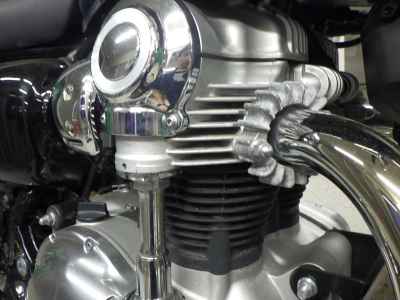 Kawasaki W800 2022